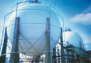 天然氣管道工程使用林地可行性報(bào)告編制及使用林 地手續(xù)辦理技術(shù)服務(wù)采購(gòu)